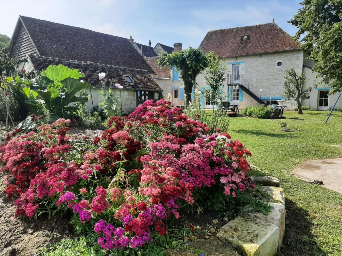 Le Moulin Bleu Bed & Breakfast Seigy Exterior photo